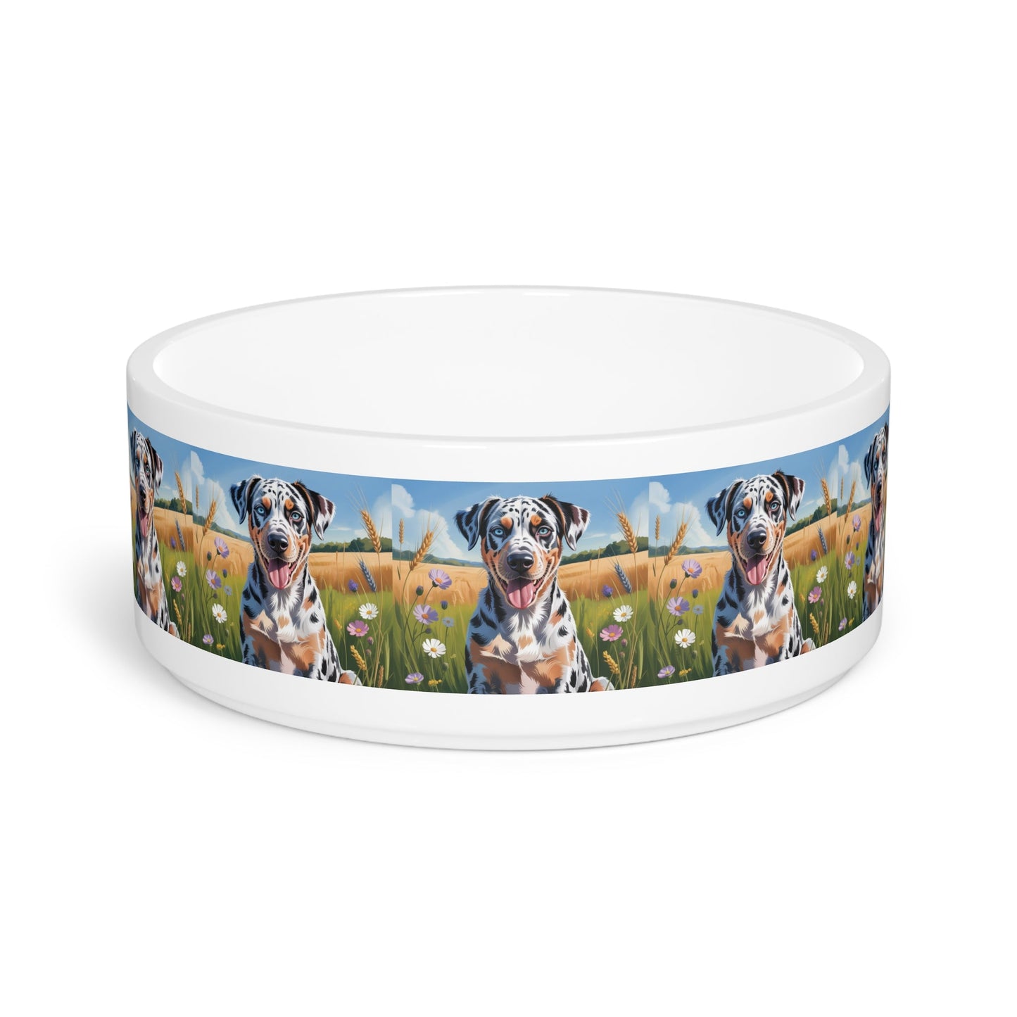 Gamelle en céramique pour animaux de compagnie – Gamelle de 47 cl pour chien