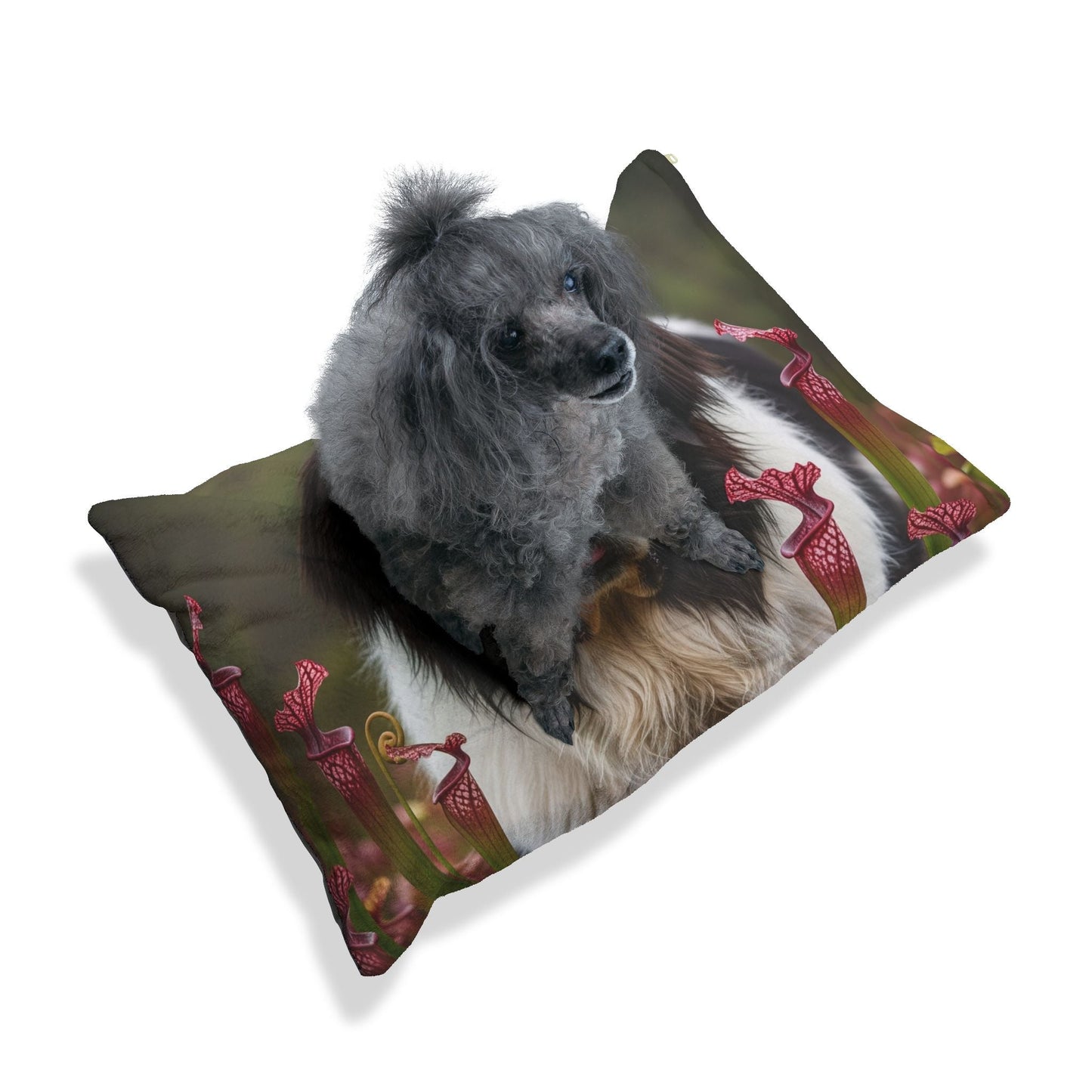 Lit pour animaux de compagnie – Lit douillet pour chien, 3 tailles disponibles
