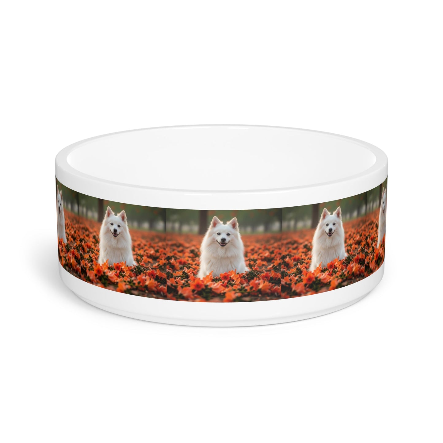 Ceramic Pet Bowl – 16 oz Dog Feeding Bowl