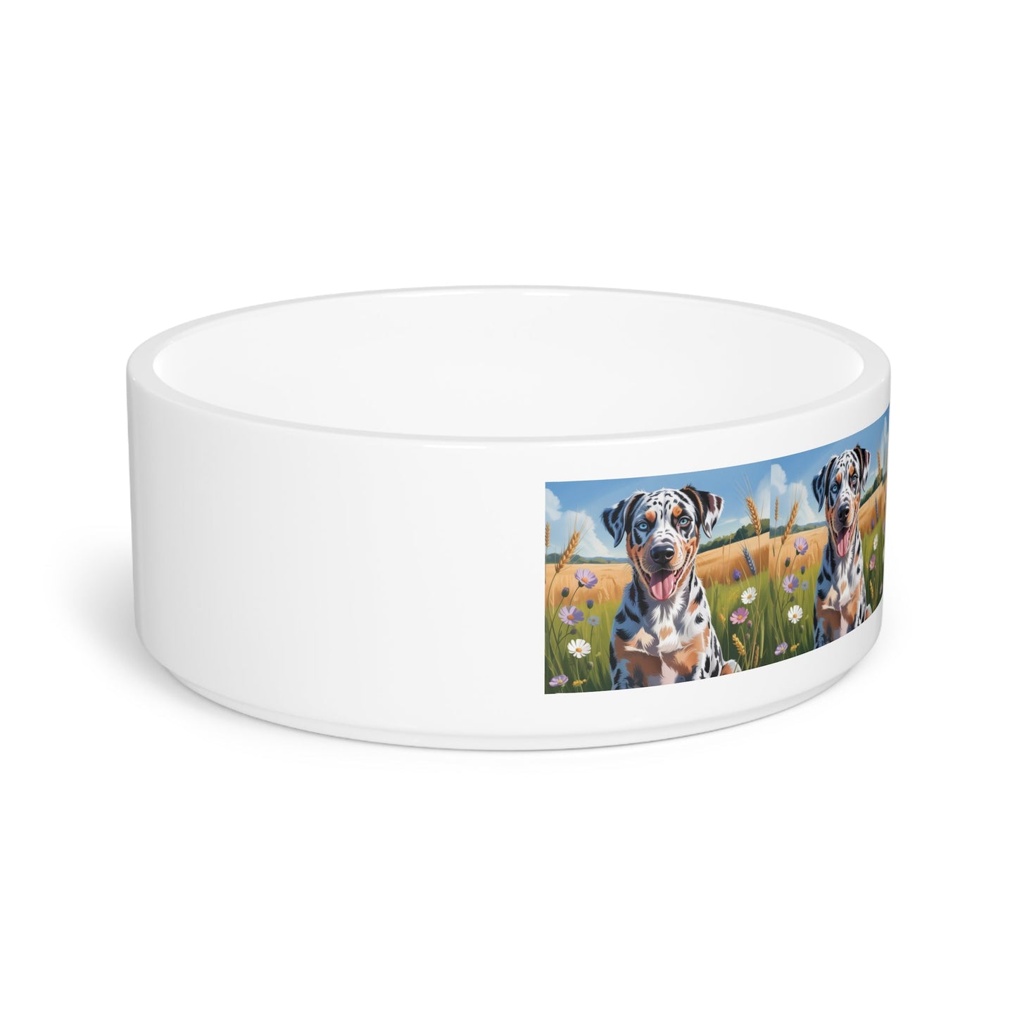Gamelle en céramique pour animaux de compagnie – Gamelle de 47 cl pour chien