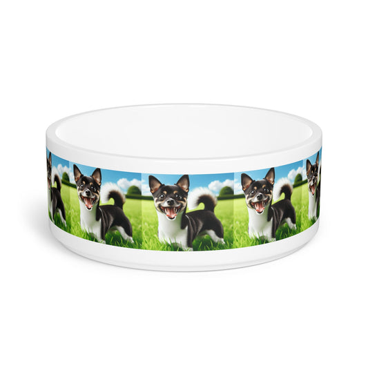 Ceramic Pet Bowl – 16 oz Dog Feeding Bowl
