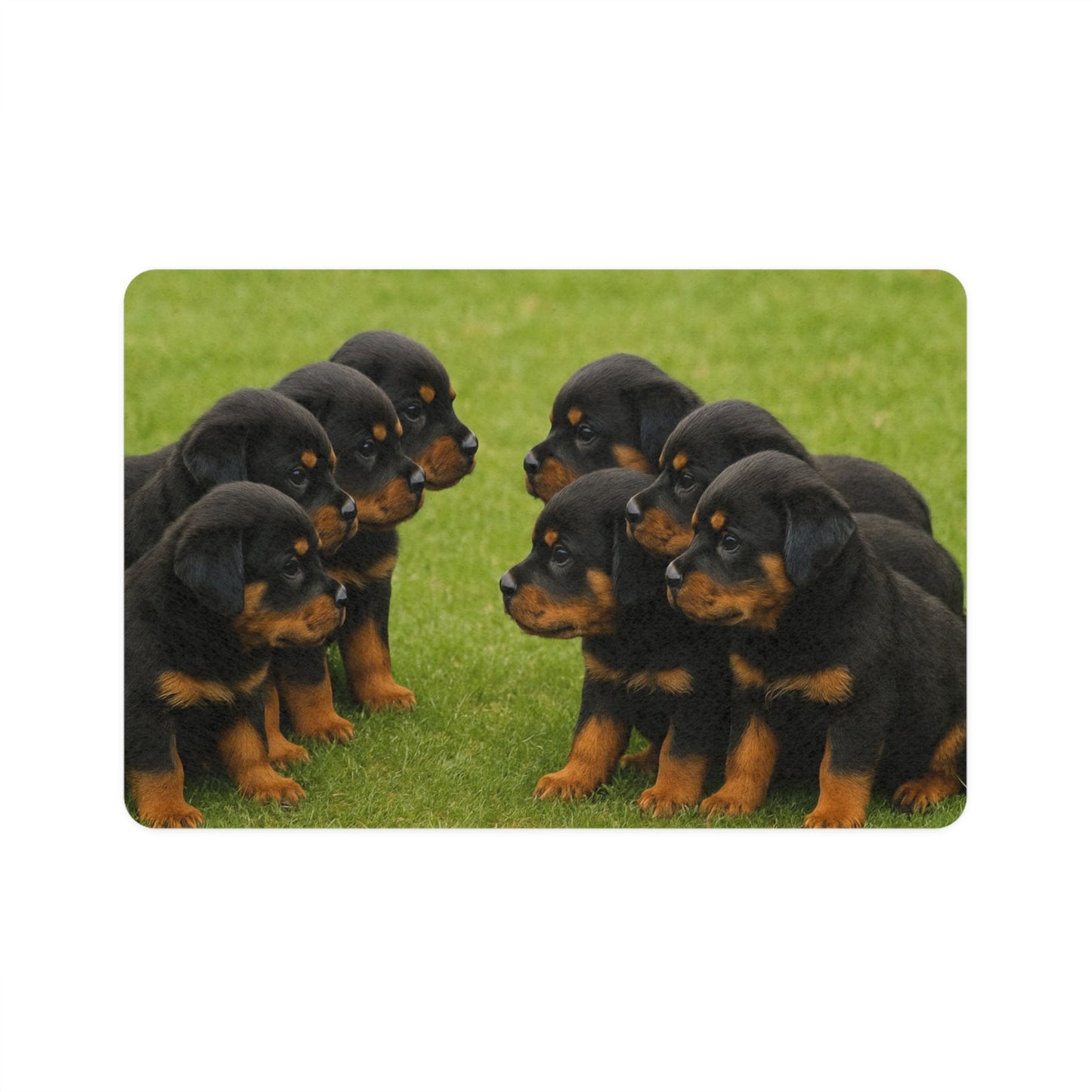 Tapis antidérapant pour animaux de compagnie – Tapis d'alimentation étanche pour chiens