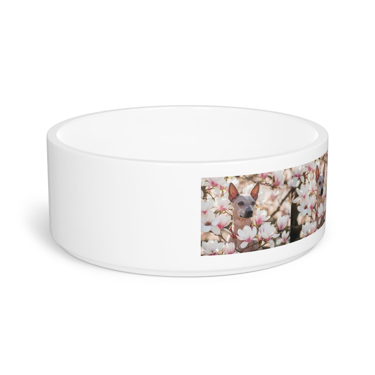 Ceramic Pet Bowl – 16 oz Dog Feeding Bowl