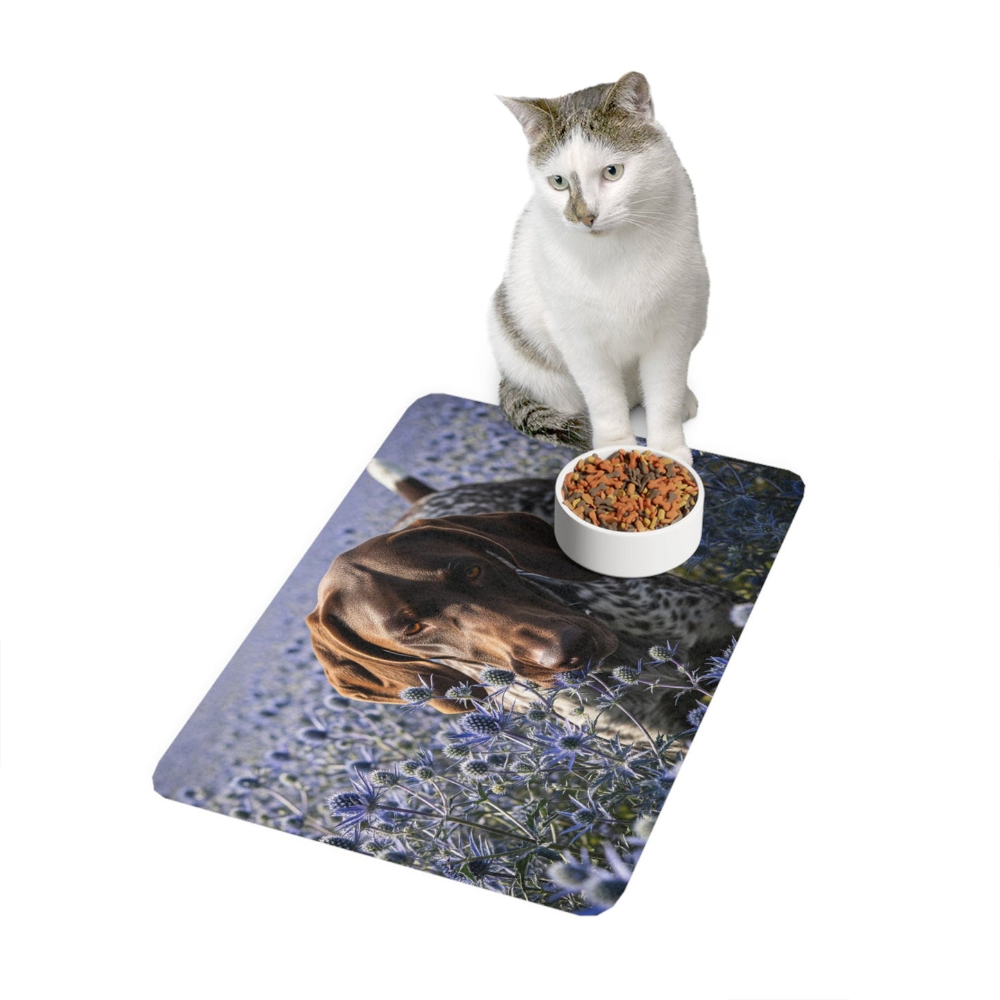 Tapis antidérapant pour animaux de compagnie – Tapis d'alimentation étanche pour chiens