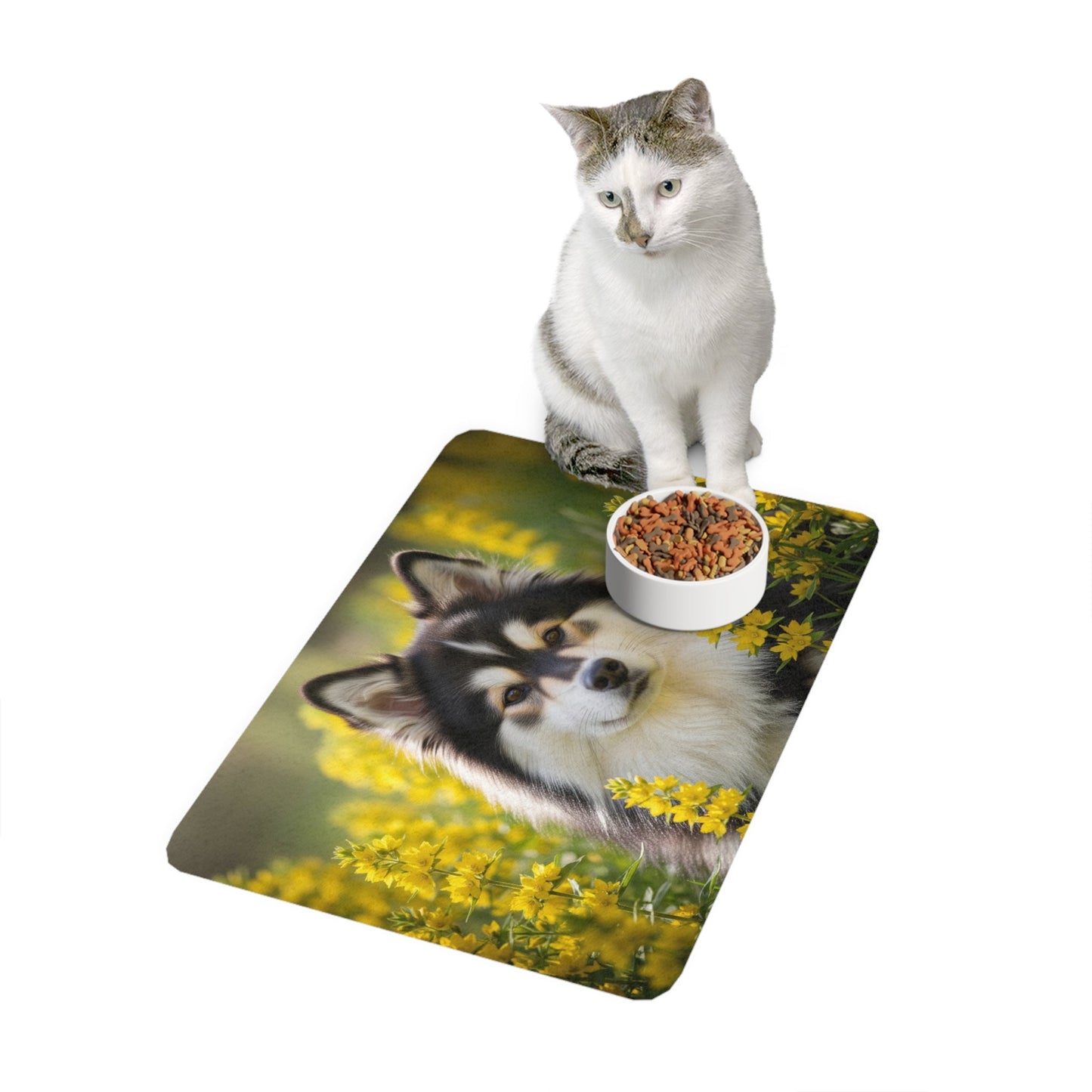 Tapis antidérapant pour animaux de compagnie – Tapis d'alimentation étanche pour chiens