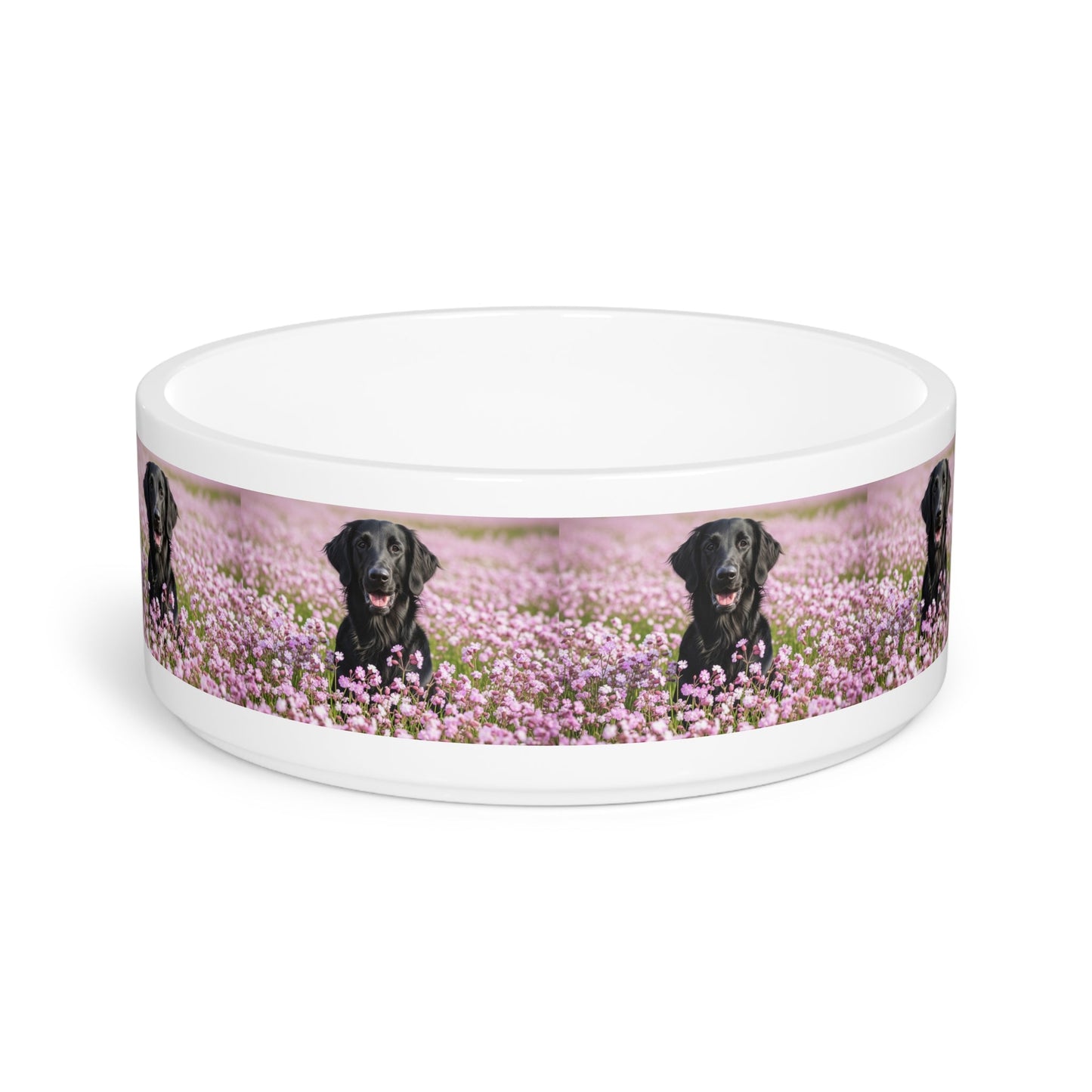 Ceramic Pet Bowl – 16 oz Dog Feeding Bowl
