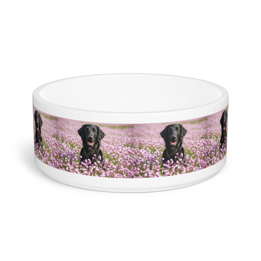 Ceramic Pet Bowl – 16 oz Dog Feeding Bowl