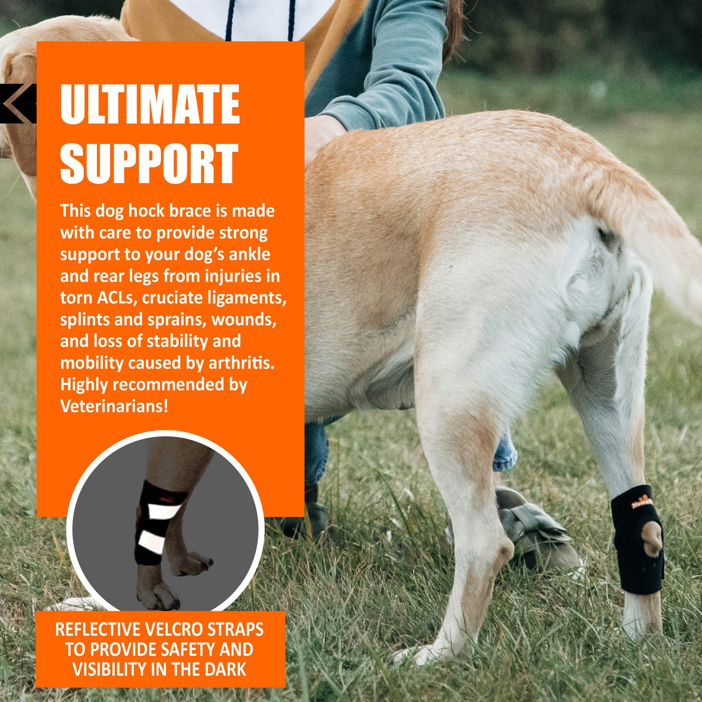 Attelle de soutien pour patte arrière de chien NeoAlly avec sangles réfléchissantes de sécurité pour petits chiens [Version courte]