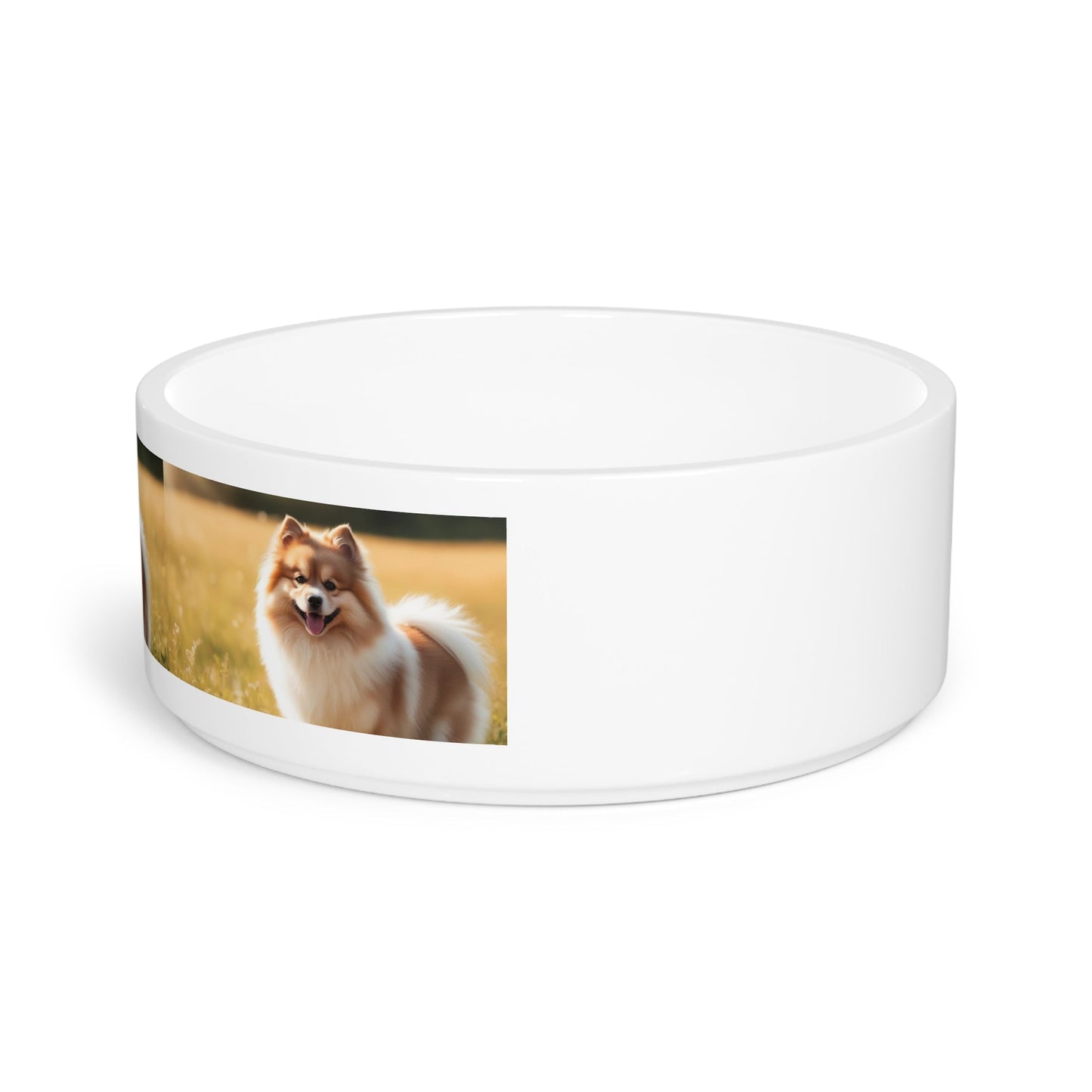 Ceramic Pet Bowl – 16 oz Dog Feeding Bowl