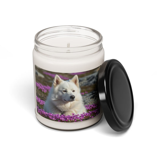 Bougie parfumée en cire de soja avec pot en verre