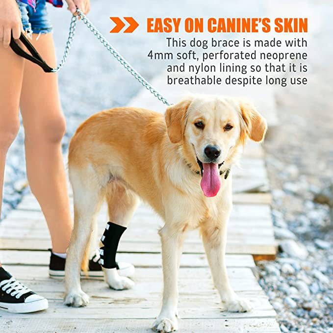 Genouillère arrière pour chien NeoAlly avec sangles réfléchissantes de sécurité pour grands chiens [Version longue]
