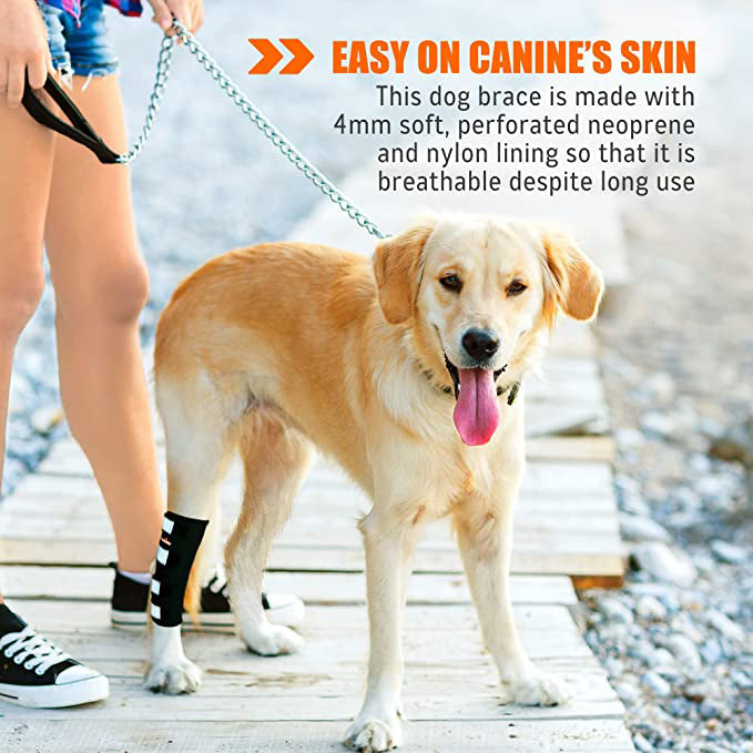 Genouillère arrière pour chien NeoAlly avec sangles réfléchissantes de sécurité pour grands chiens [Version longue]