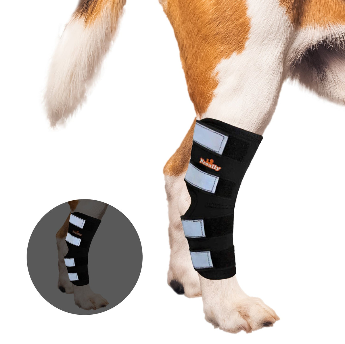 Genouillère arrière pour chien NeoAlly avec sangles réfléchissantes de sécurité pour grands chiens [Version longue]