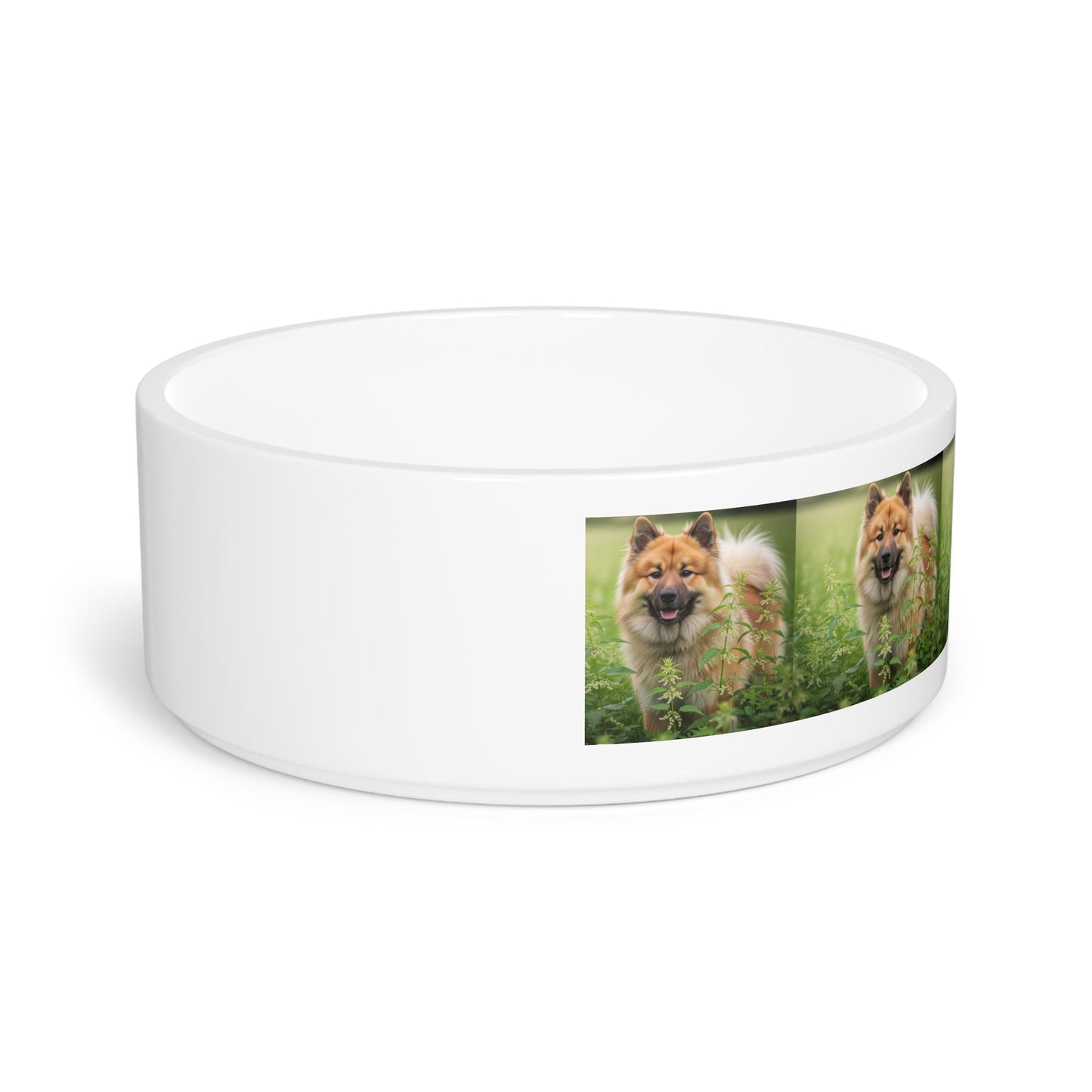 Ceramic Pet Bowl – 16 oz Dog Feeding Bowl