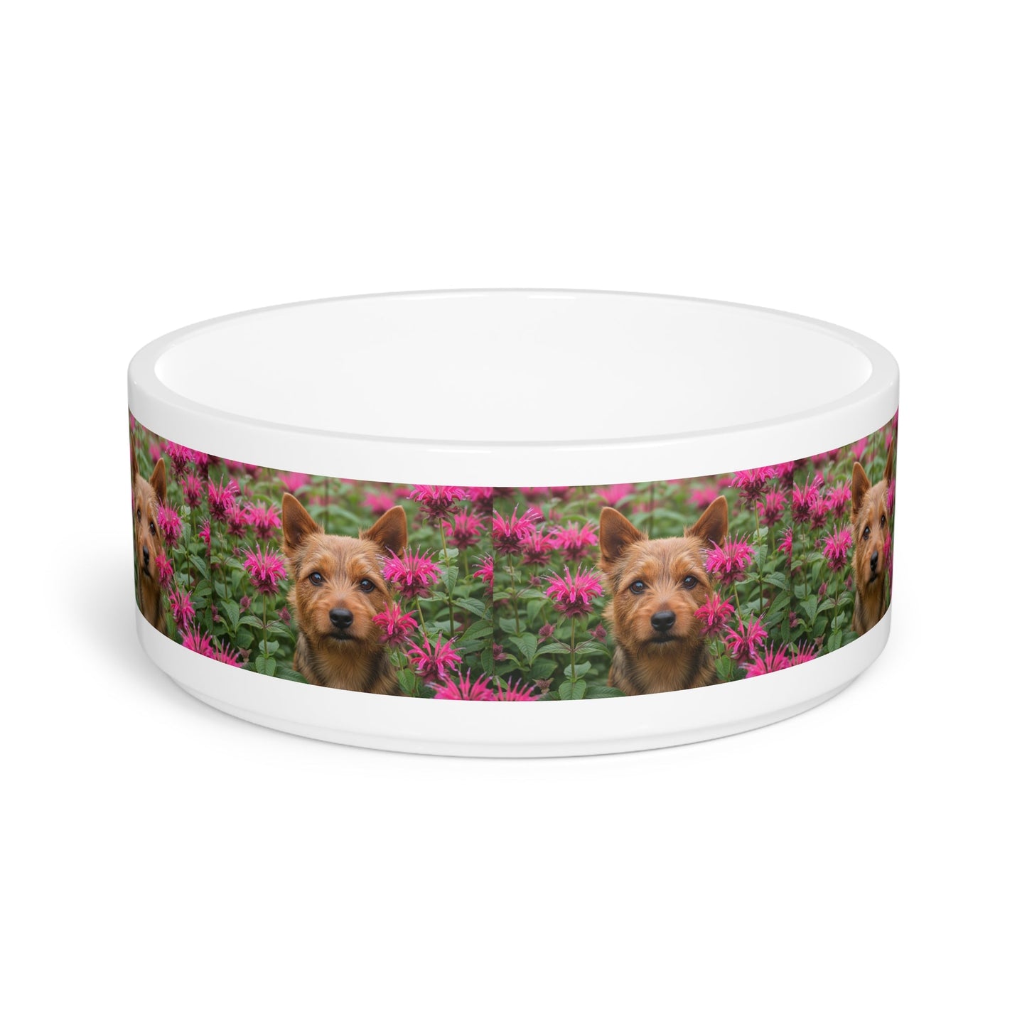 Ceramic Pet Bowl – 16 oz Dog Feeding Bowl