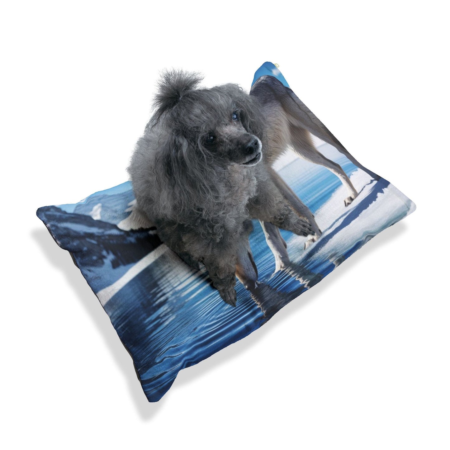 Pet Bed – Plush Dog Bed, 3 Size Options