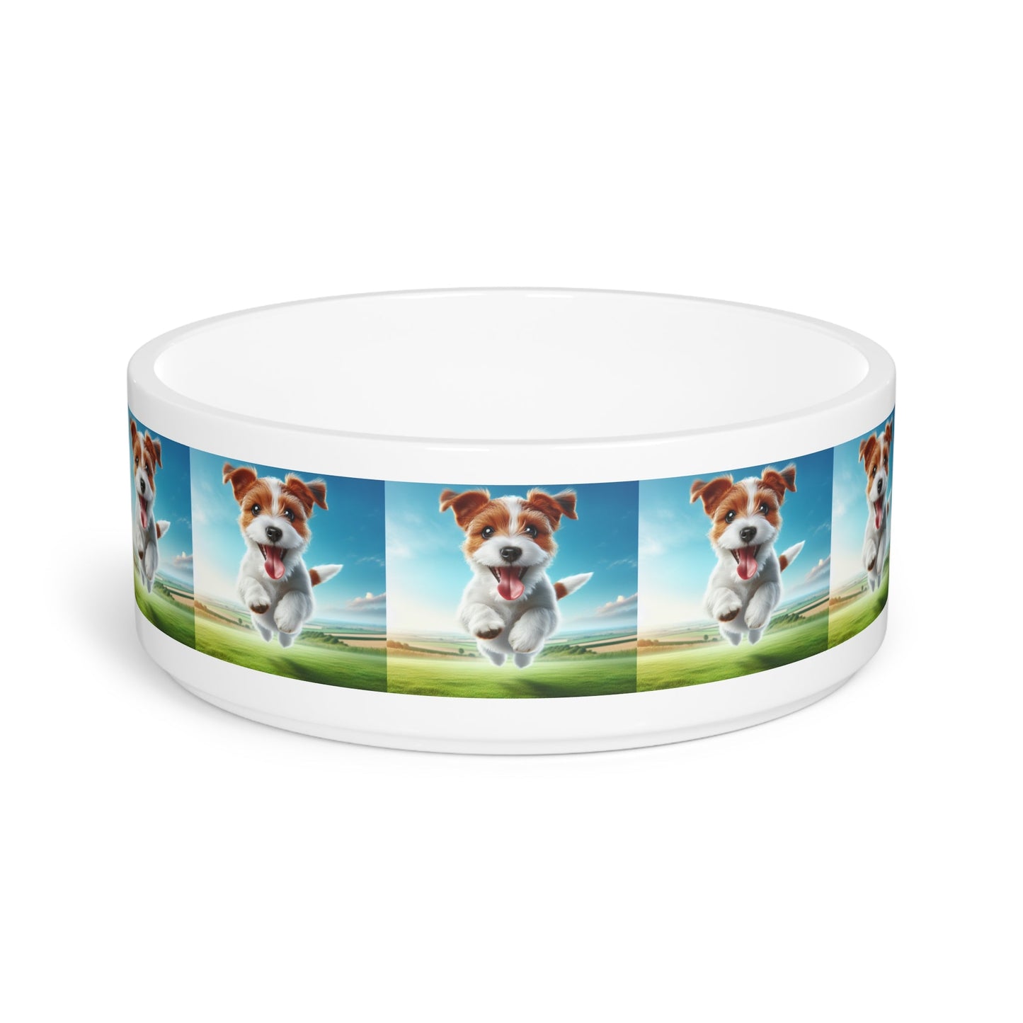 Gamelle en céramique pour animaux de compagnie – Gamelle de 47 cl pour chien