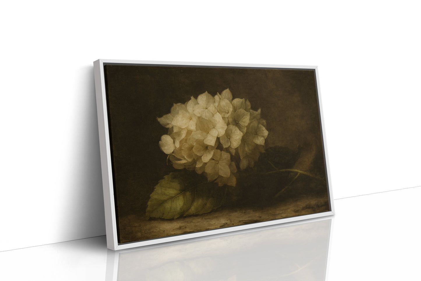 Verblasste Eleganz Hortensie