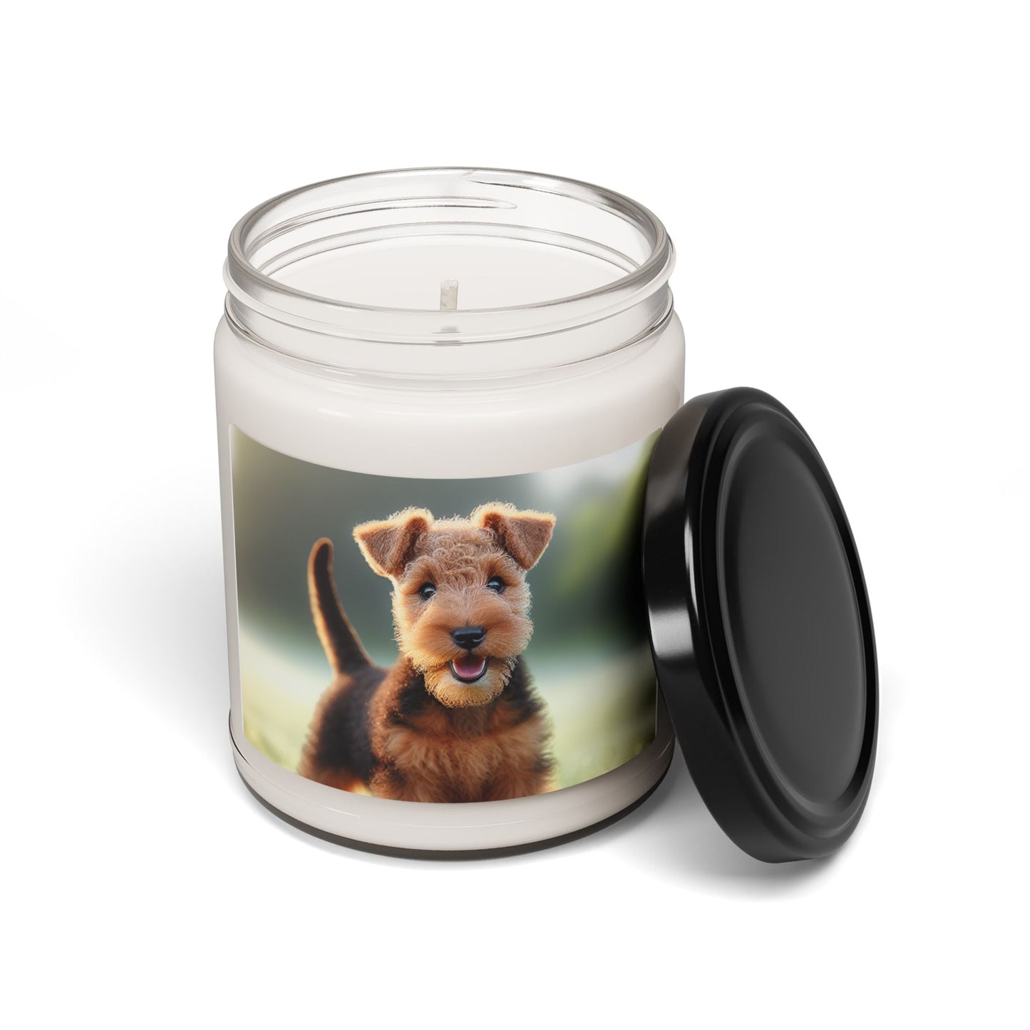 Soy Candle – Scented Jar Candle