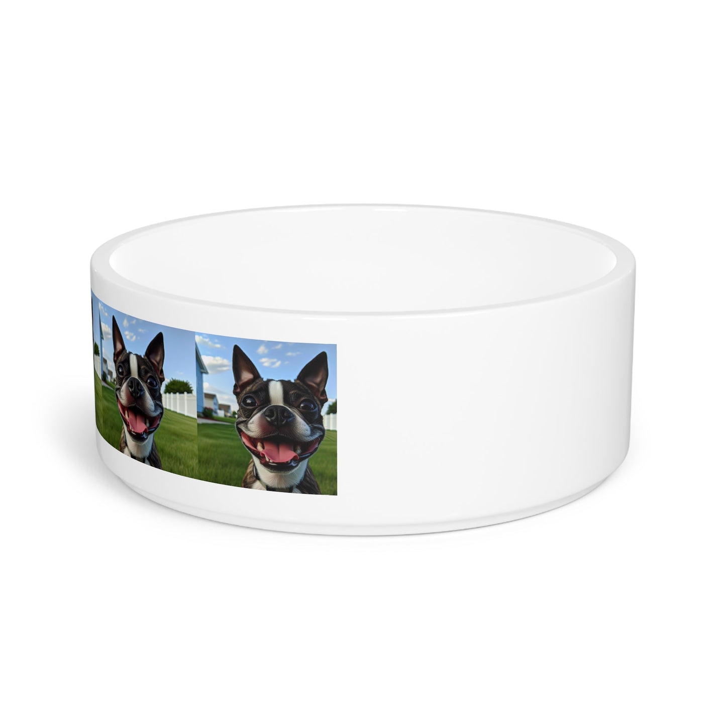 Ceramic Pet Bowl – 16 oz Dog Feeding Bowl