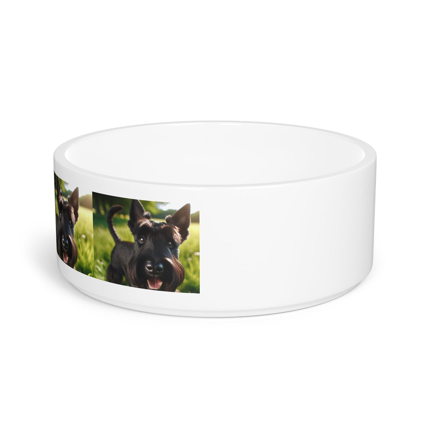 Ceramic Pet Bowl – 16 oz Dog Feeding Bowl