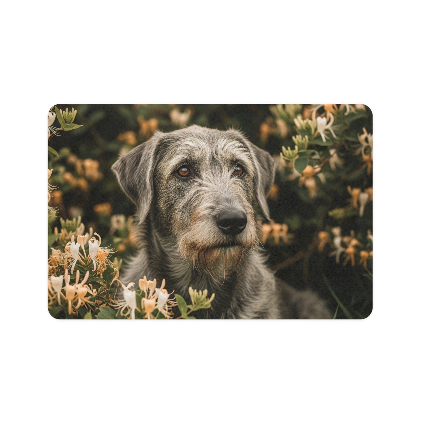 Tapis antidérapant pour animaux de compagnie – Tapis d'alimentation étanche pour chiens
