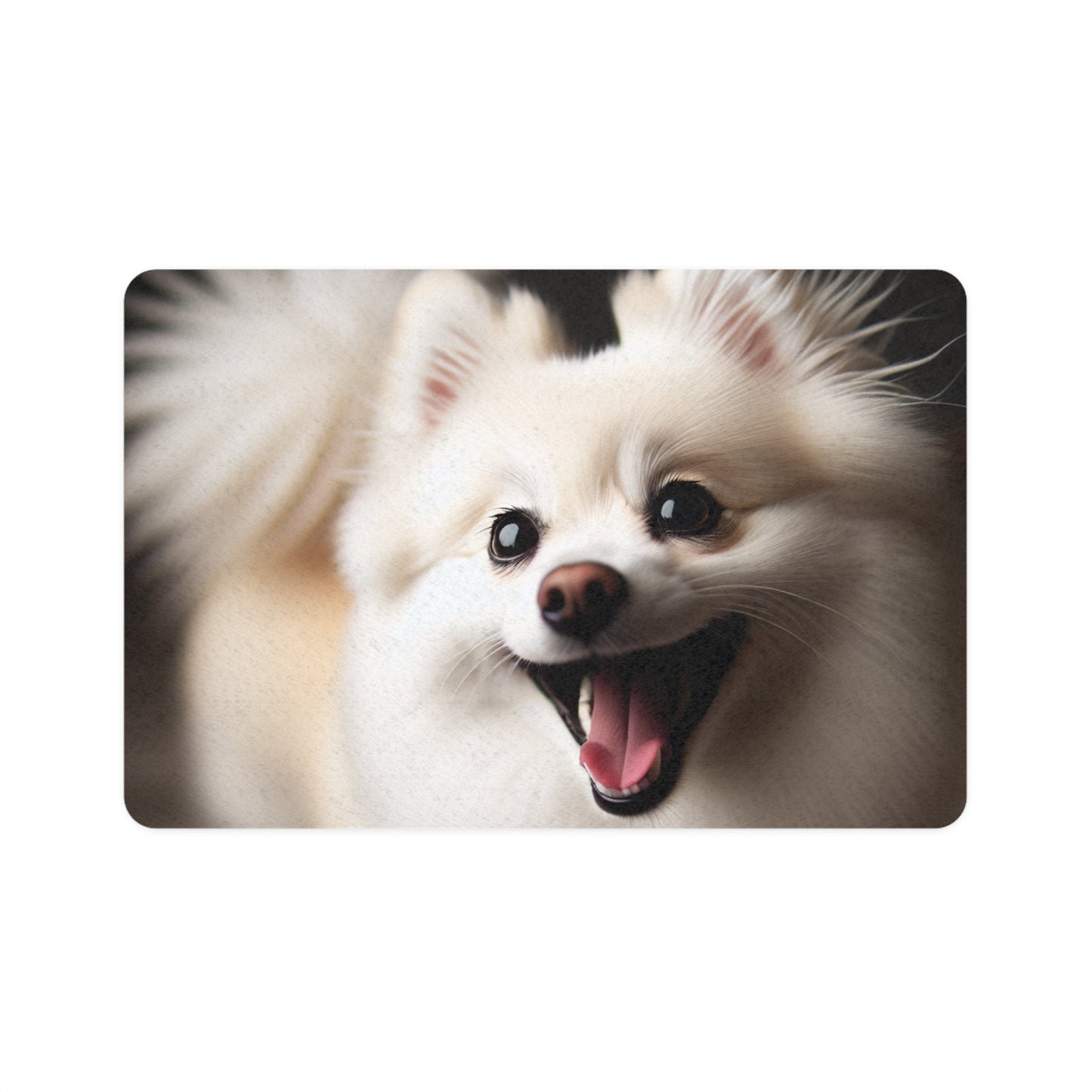 Tapis antidérapant pour animaux de compagnie – Tapis d'alimentation étanche pour chiens