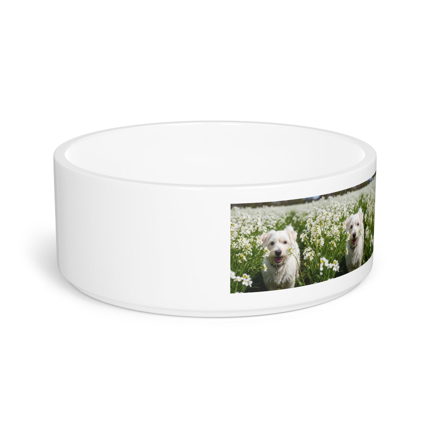 Ceramic Pet Bowl – 16 oz Dog Feeding Bowl