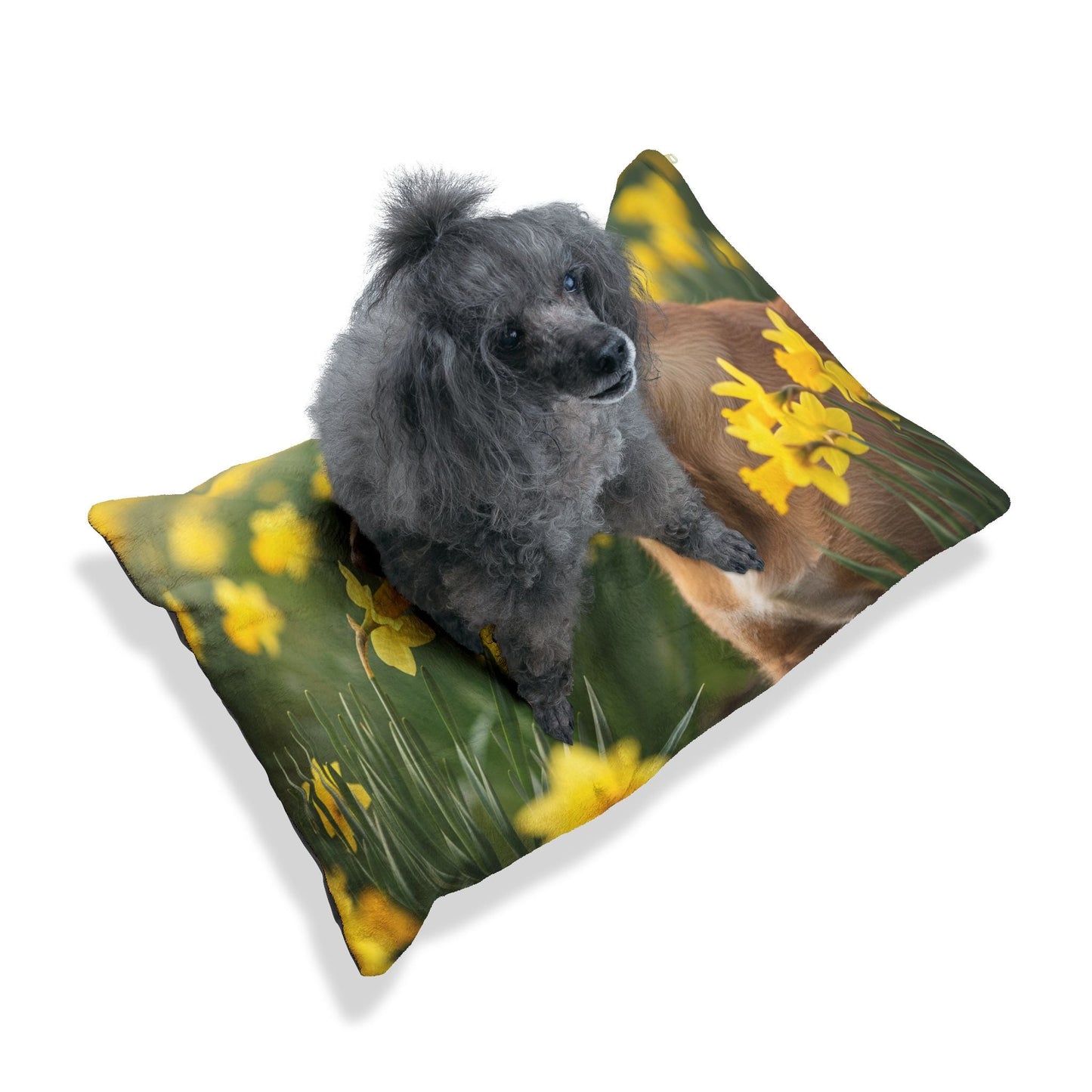 Pet Bed – Plush Dog Bed, 3 Size Options