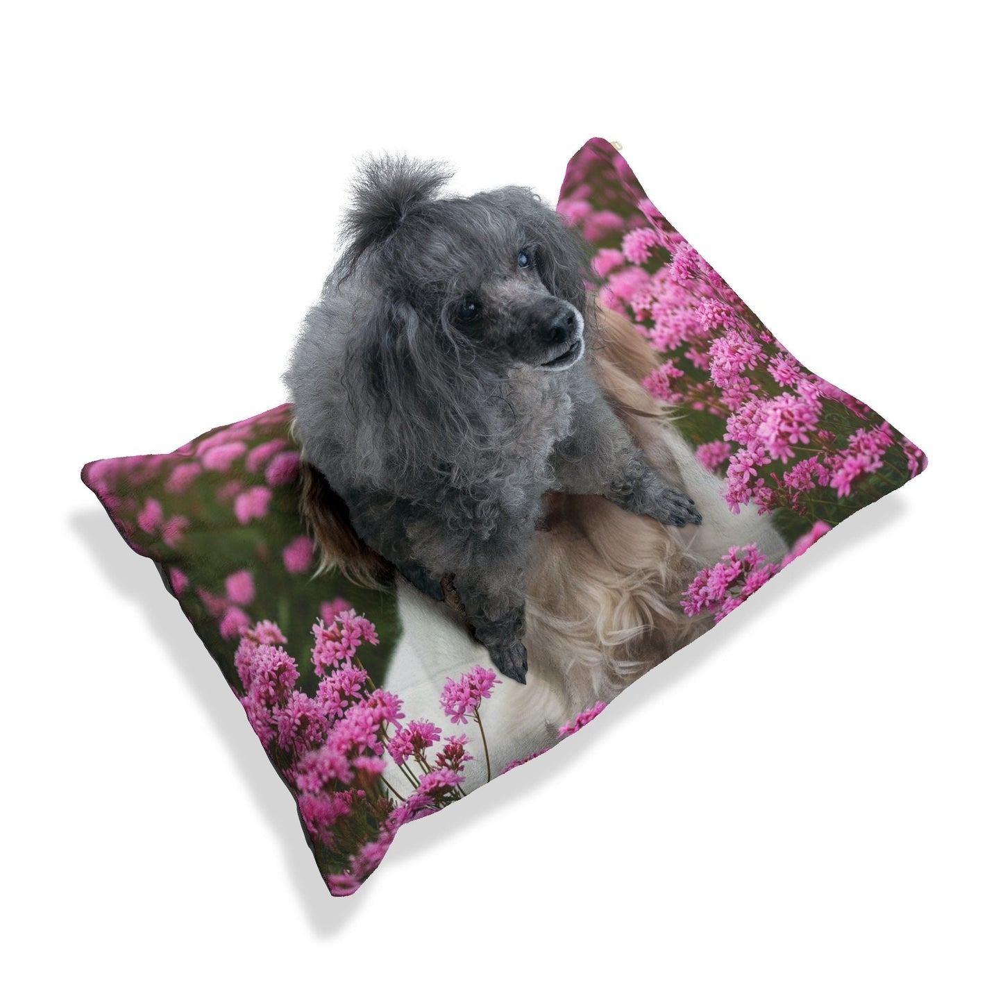 Pet Bed – Plush Dog Bed, 3 Size Options