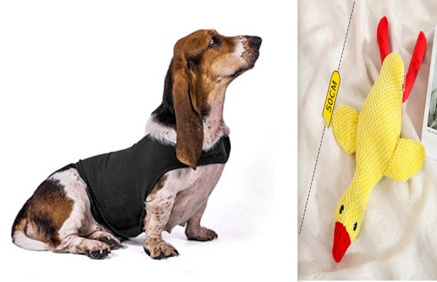 Anxiety Jacket Vest Summer Medical Treatment To Calm Down Cat Clothes Dog Comfort Clothes