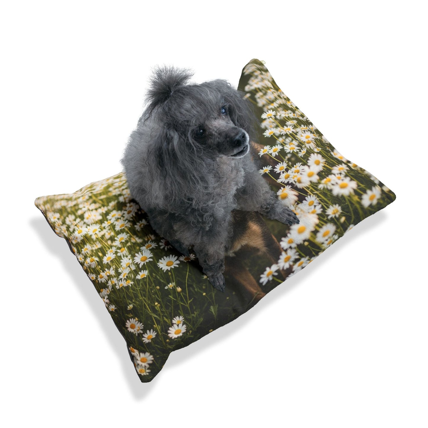 Lit pour animaux de compagnie – Lit douillet pour chien, 3 tailles disponibles