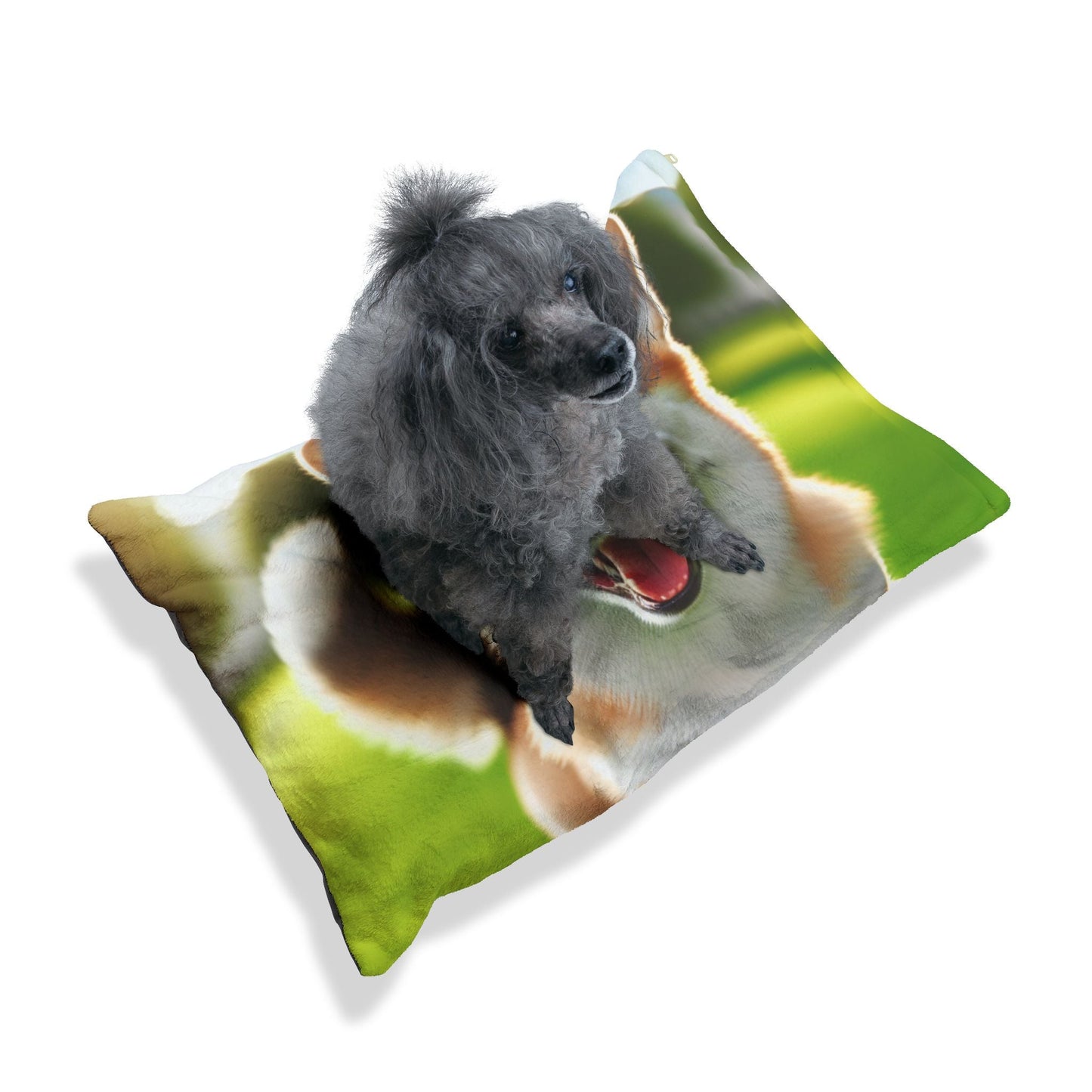 Haustierbett – Plüsch-Hundebett, 3 Größenoptionen