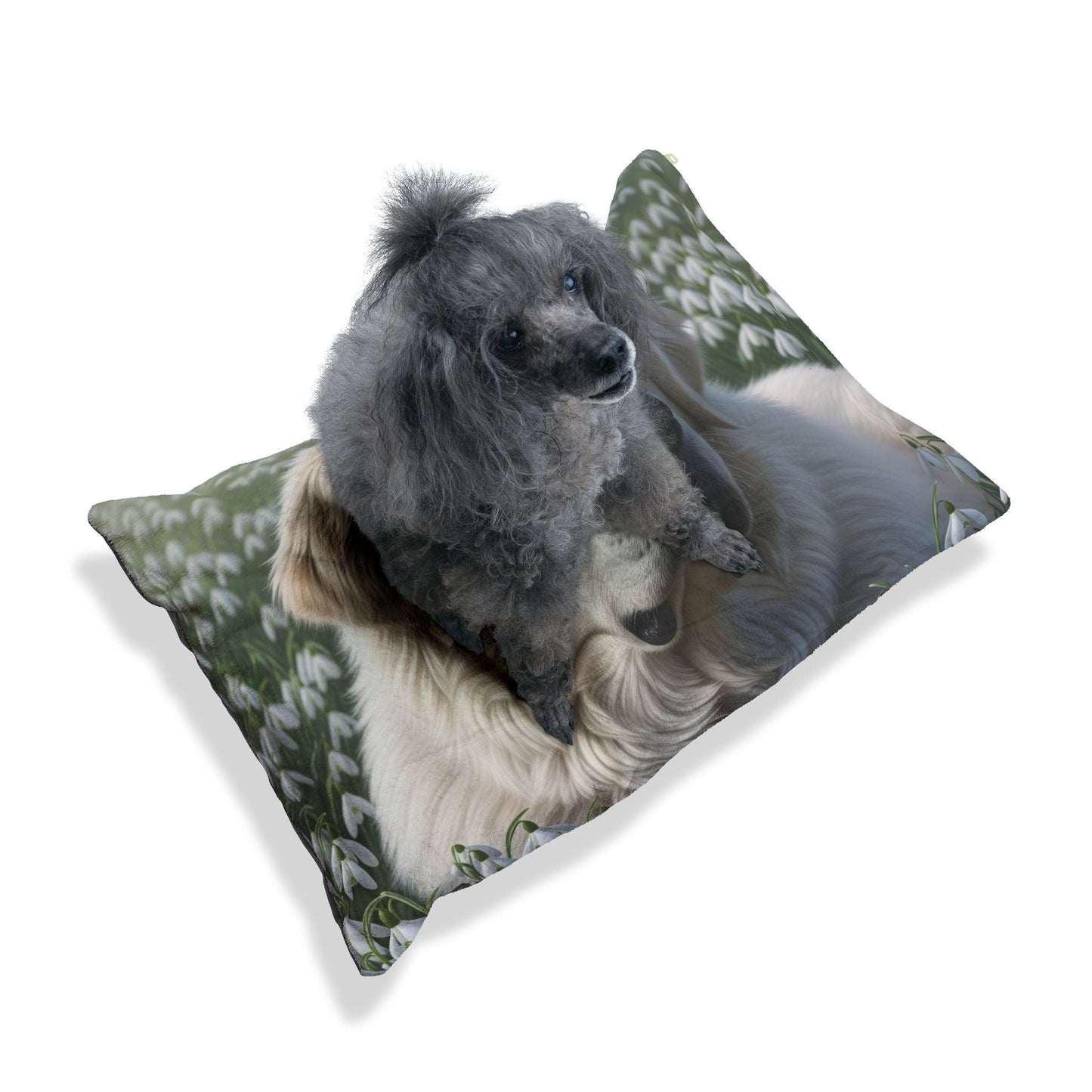 Lit pour animaux de compagnie – Lit douillet pour chien, 3 tailles disponibles
