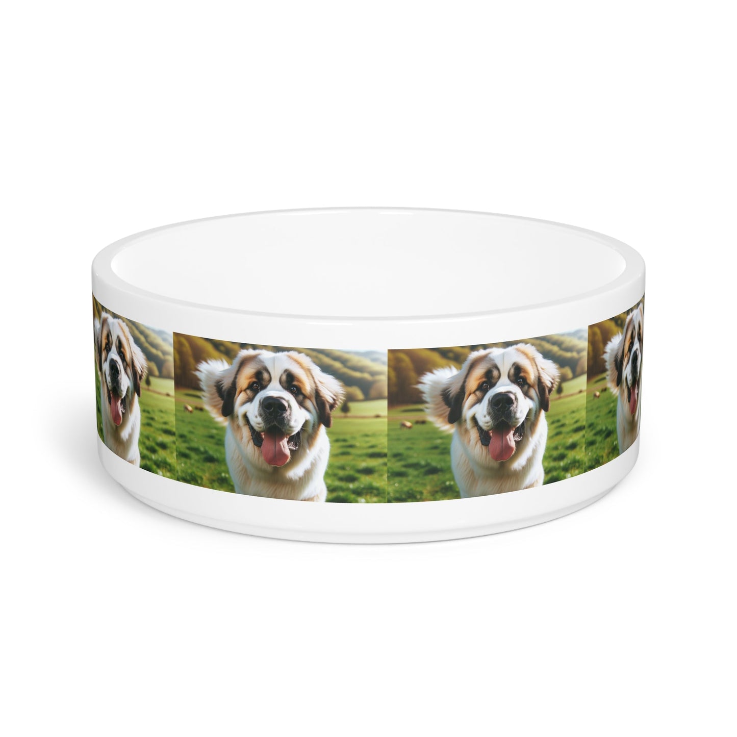 Ceramic Pet Bowl – 16 oz Dog Feeding Bowl