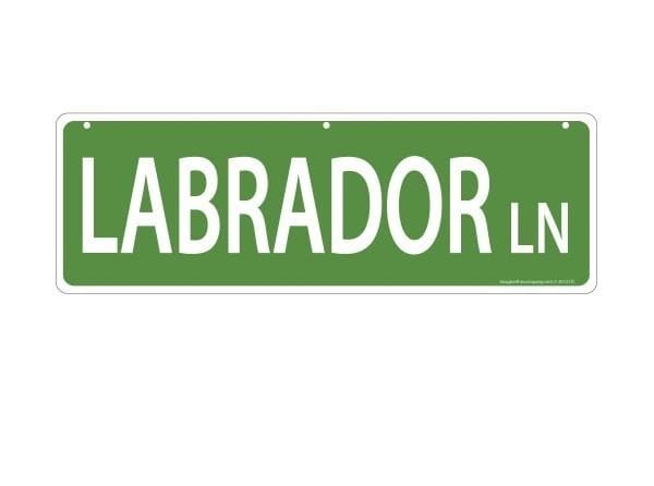 Imagine This Pet-Themed Street Signs