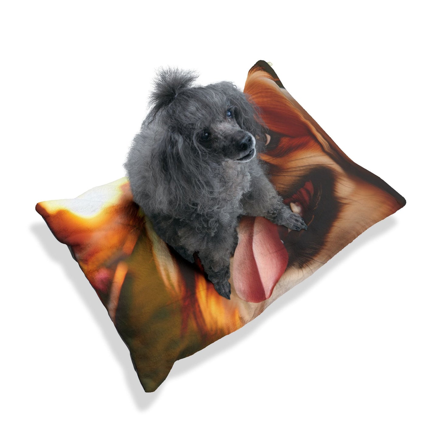 Lit pour animaux de compagnie – Lit douillet pour chien, 3 tailles disponibles