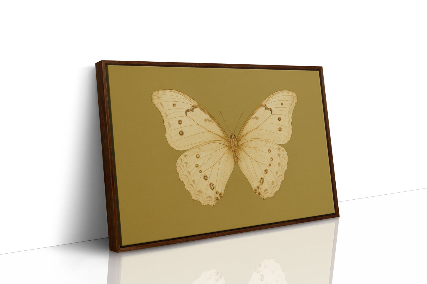 Golden Ivory Butterfly Study