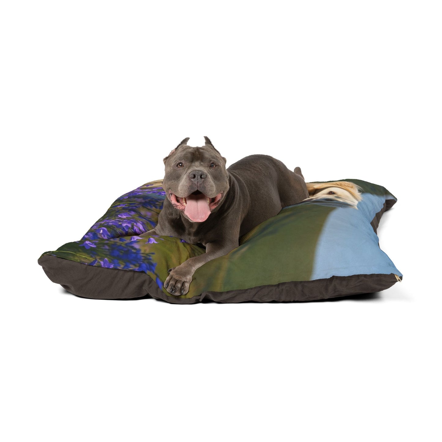 Haustierbett – Plüschhundebett, 3 Größenoptionen