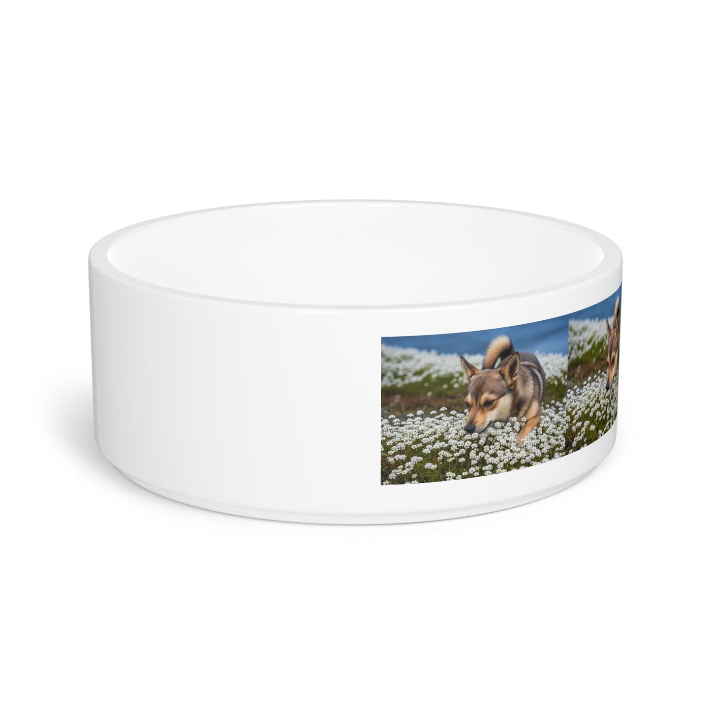 Ceramic Pet Bowl – 16 oz Dog Feeding Bowl