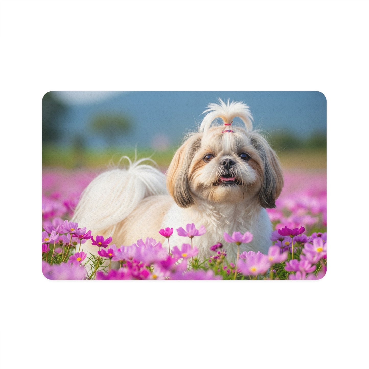 Tapis antidérapant pour animaux de compagnie – Tapis d'alimentation étanche pour chiens