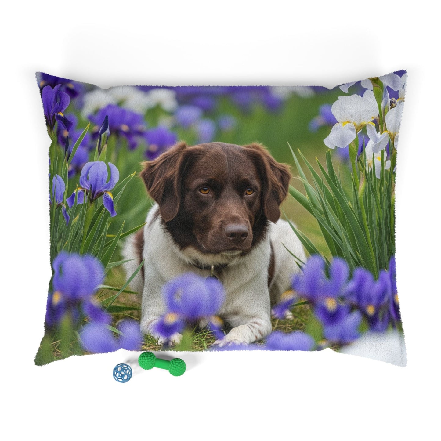 Lit pour animaux de compagnie – Lit douillet pour chien, 3 tailles disponibles