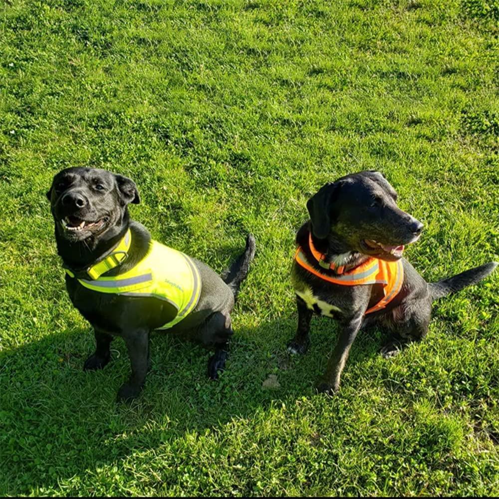 Reflective Lightweight Dog Vest Hi-Vis M Size Mid-Back Coverage