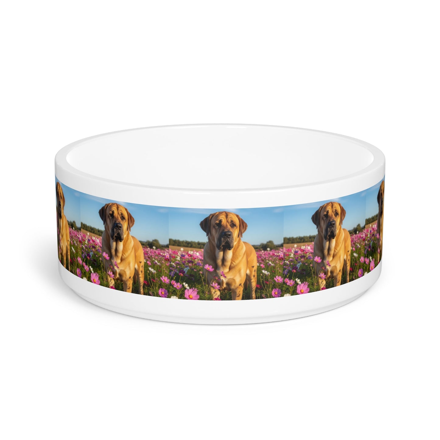 Gamelle en céramique pour animaux de compagnie – Gamelle de 47 cl pour chien