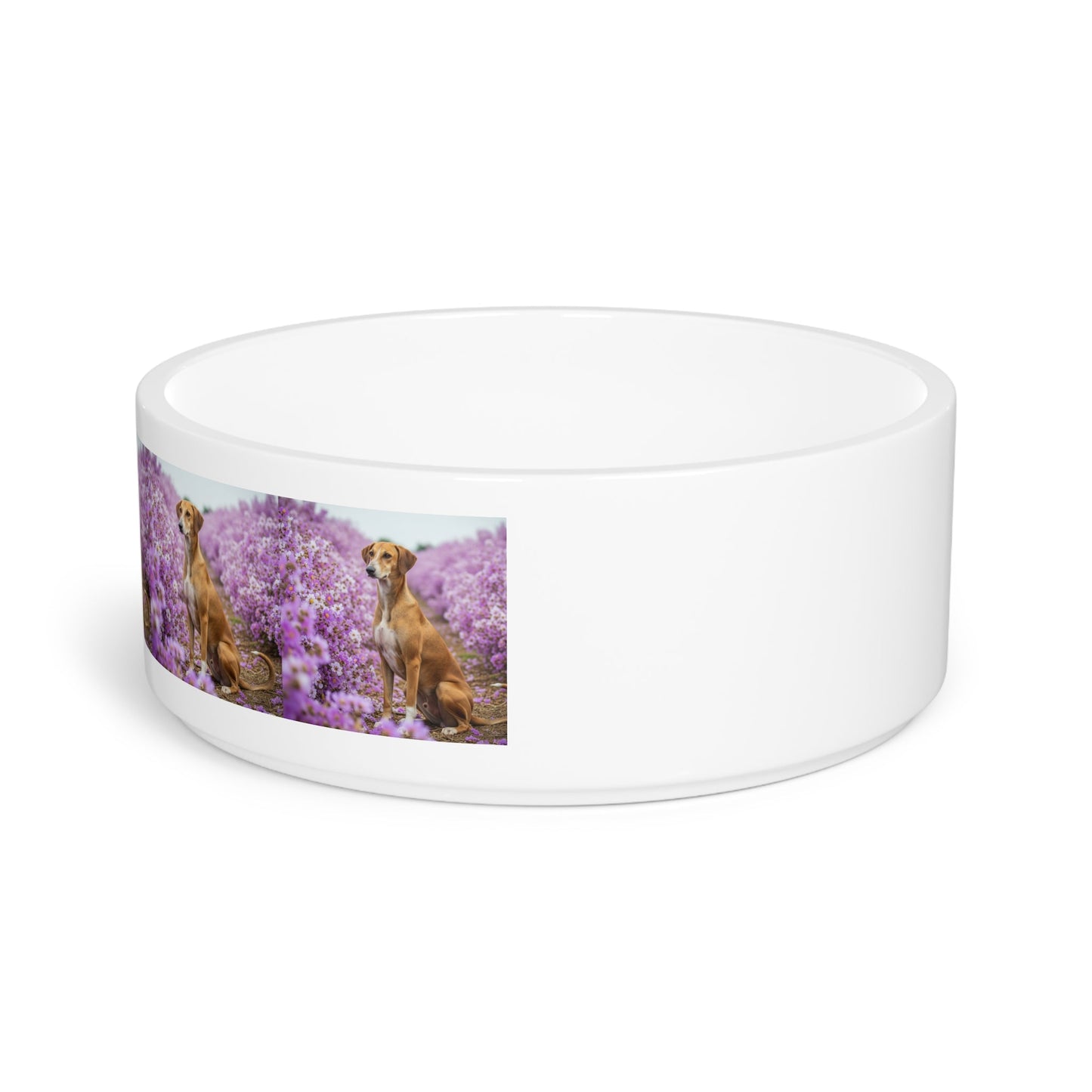 Ceramic Pet Bowl – 16 oz Dog Feeding Bowl