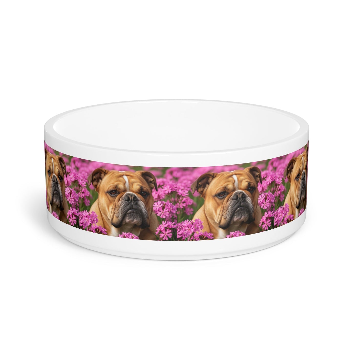Ceramic Pet Bowl – 16 oz Dog Feeding Bowl