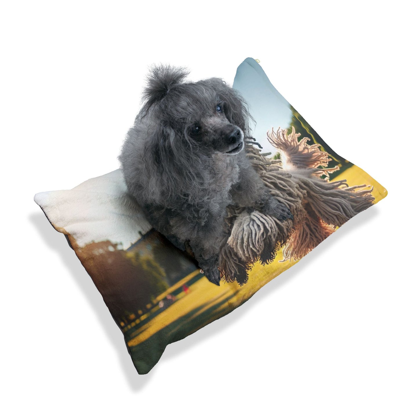 Lit pour animaux de compagnie – Lit douillet pour chien, 3 tailles disponibles