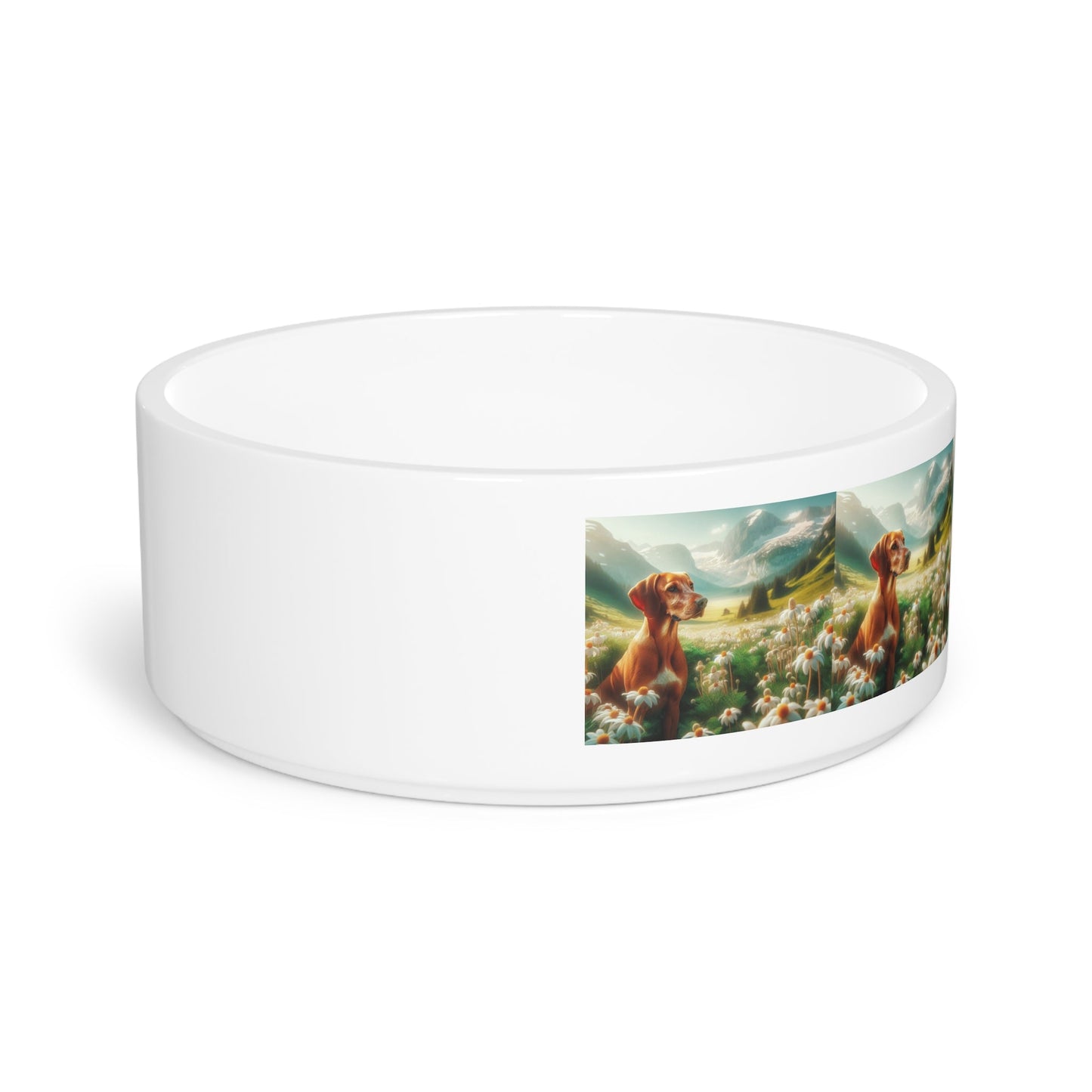 Gamelle en céramique pour animaux de compagnie – Gamelle de 47 cl pour chien
