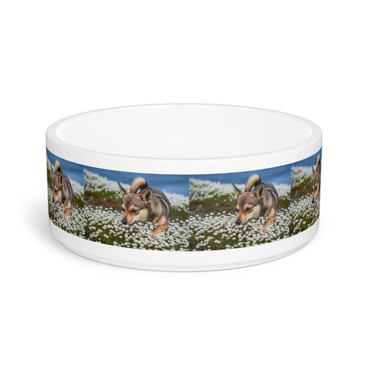 Ceramic Pet Bowl – 16 oz Dog Feeding Bowl
