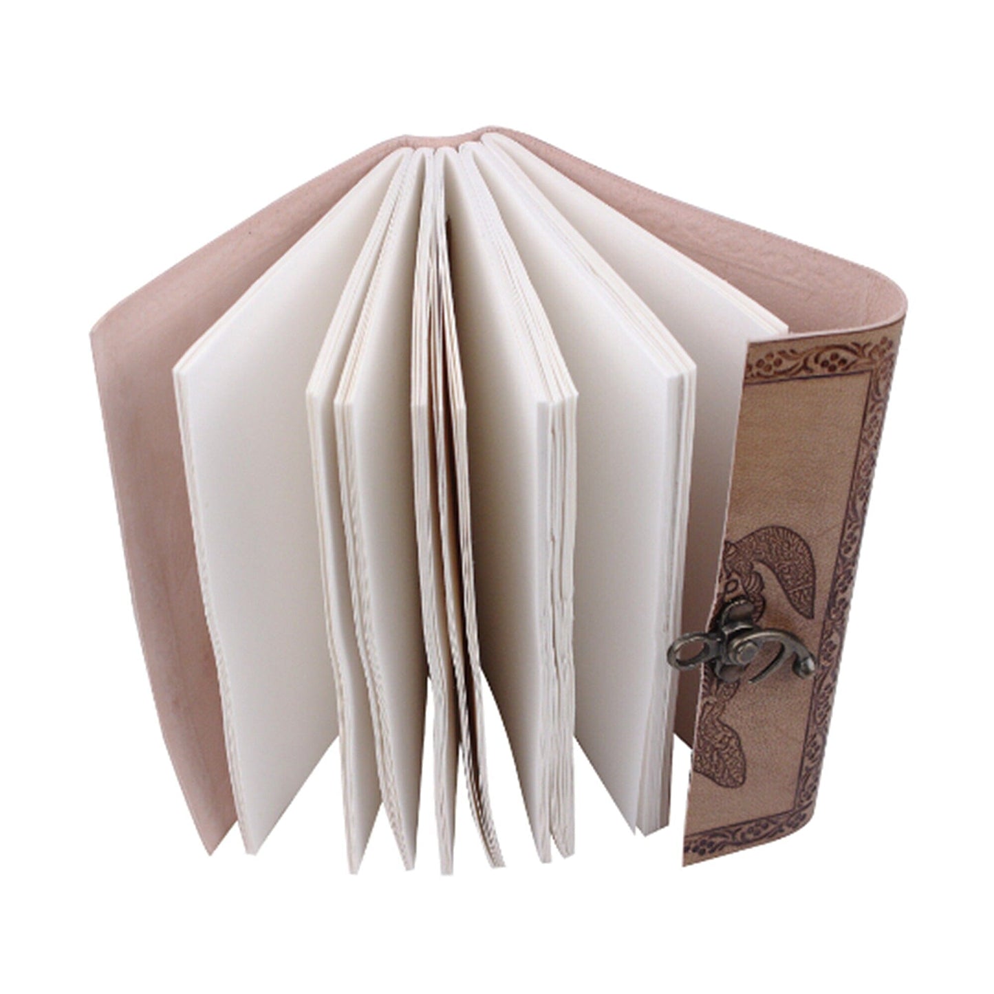 Le carnet de la Tortue